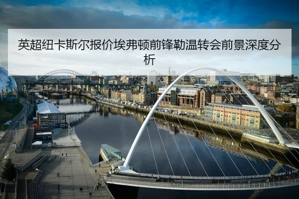 英超纽卡斯尔报价埃弗顿前锋勒温转会前景深度分析