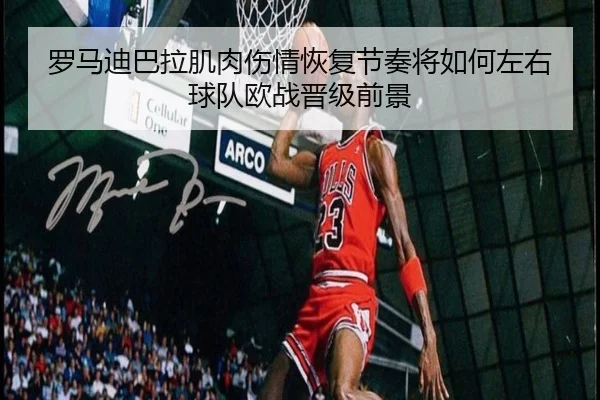 img_1781296448735_2666_1_374.jpg