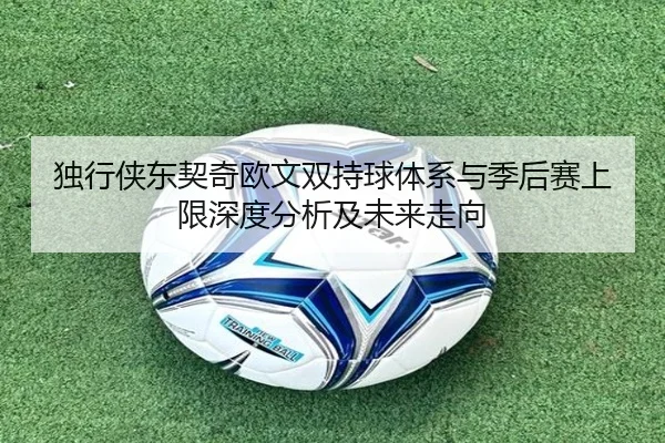 独行侠东契奇欧文双持球体系与季后赛上限深度分析及未来走向
