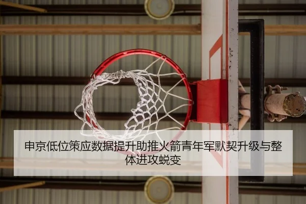 申京低位策应数据提升助推火箭青年军默契升级与整体进攻蜕变